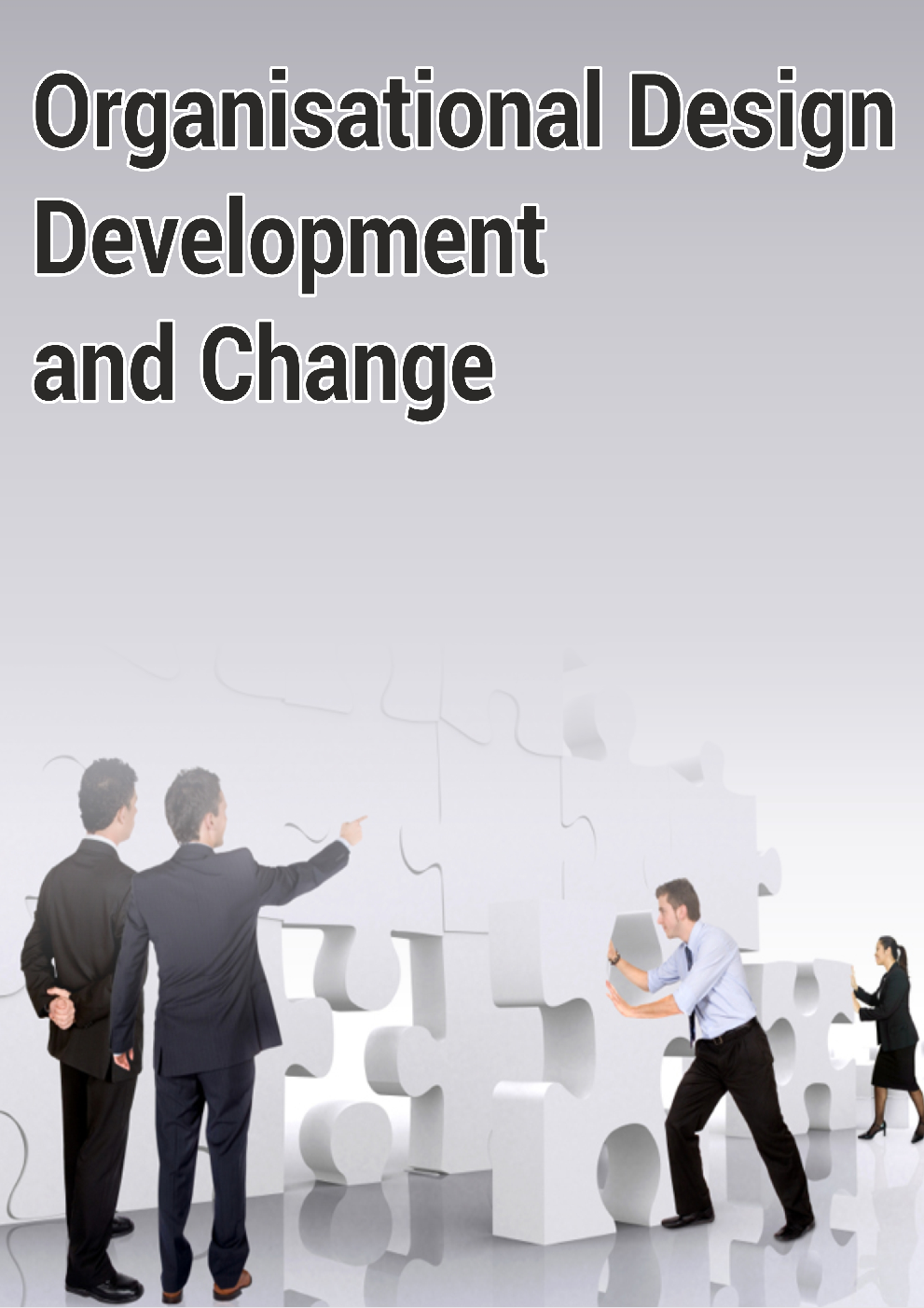 Organisational Design Development and Change - Page 1