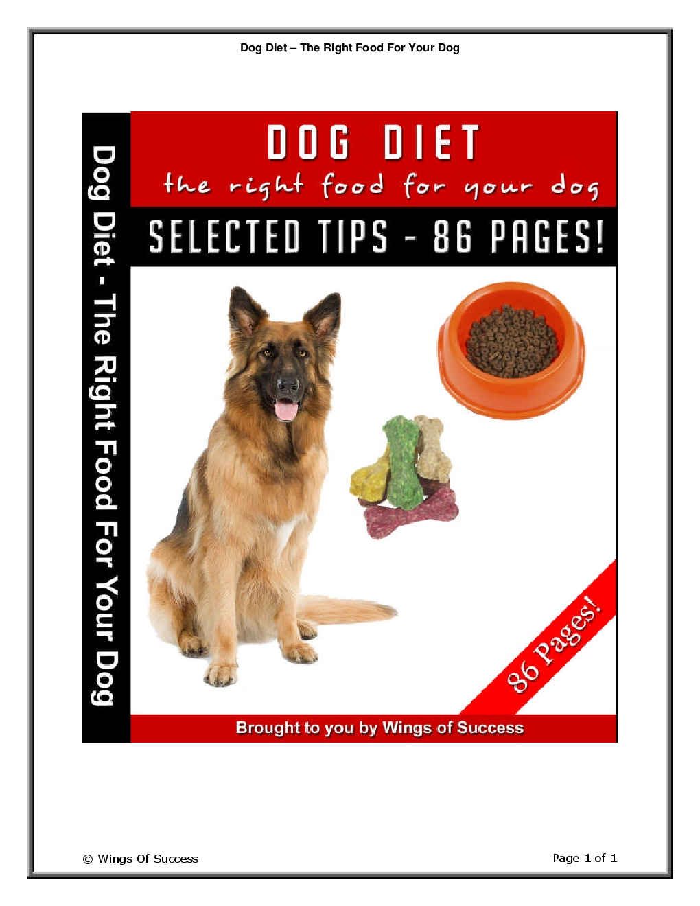 Dog Diet – The Right Food For Your Dog - Page 1