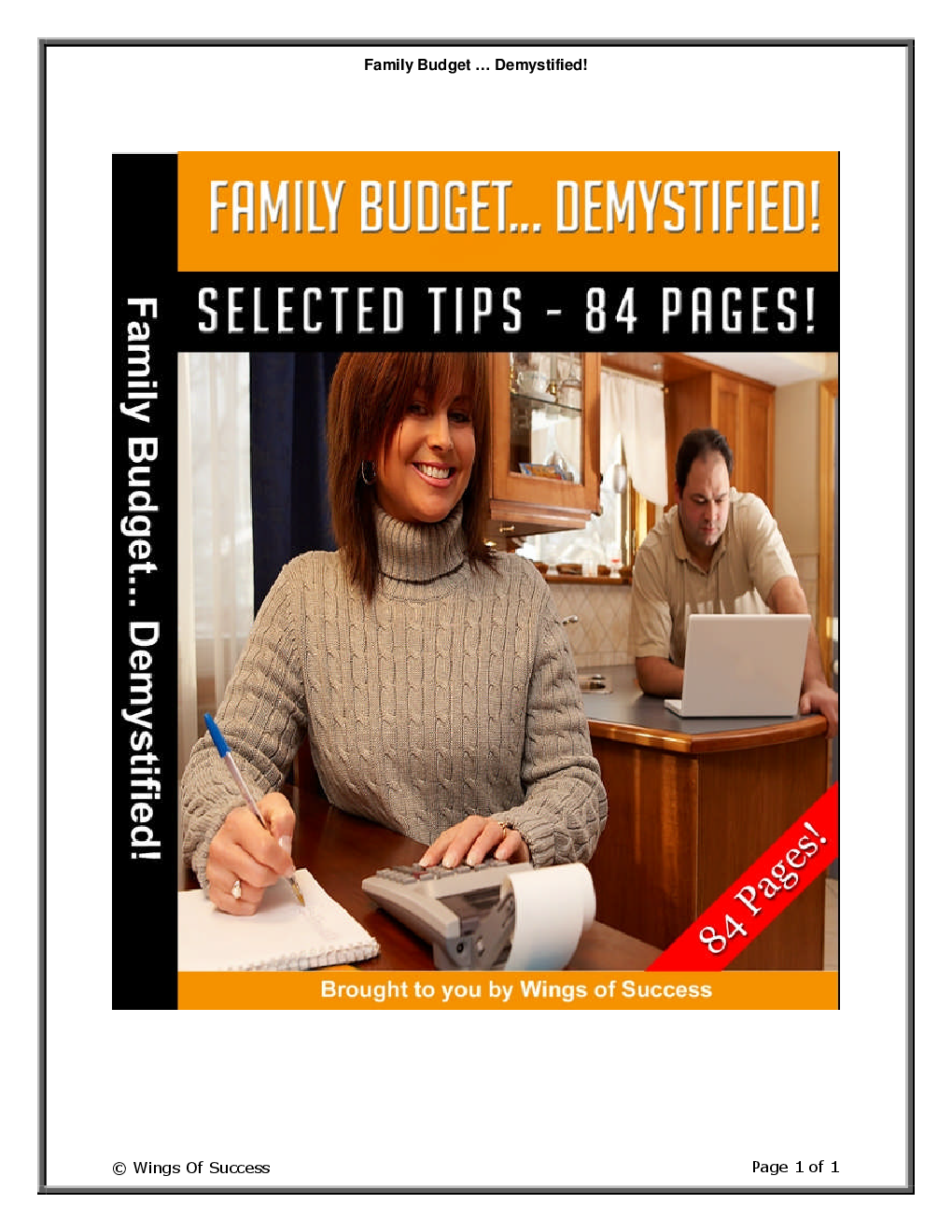 Family Budget - Demystified! - Page 1