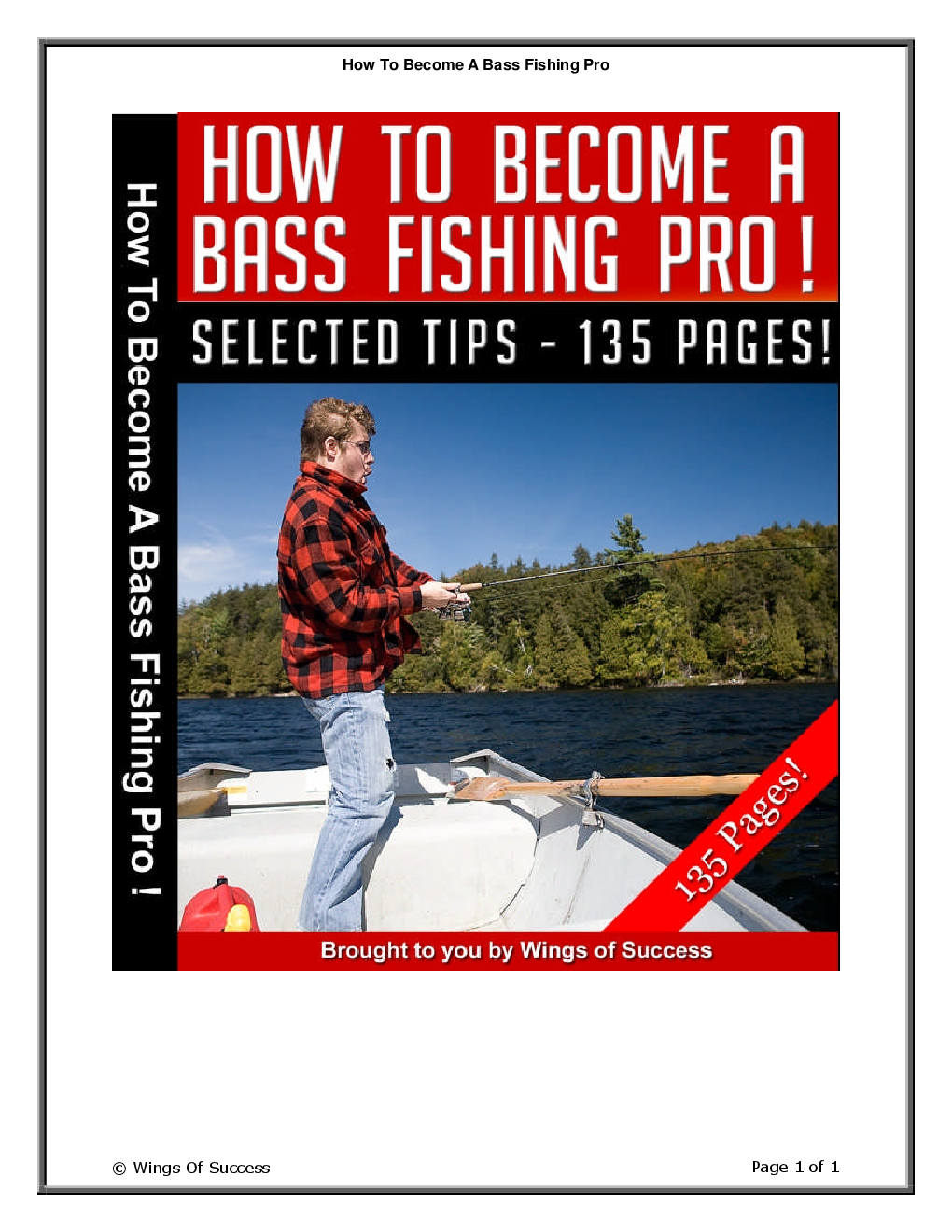 How To Become A Bass Fishing Pro - Page 1