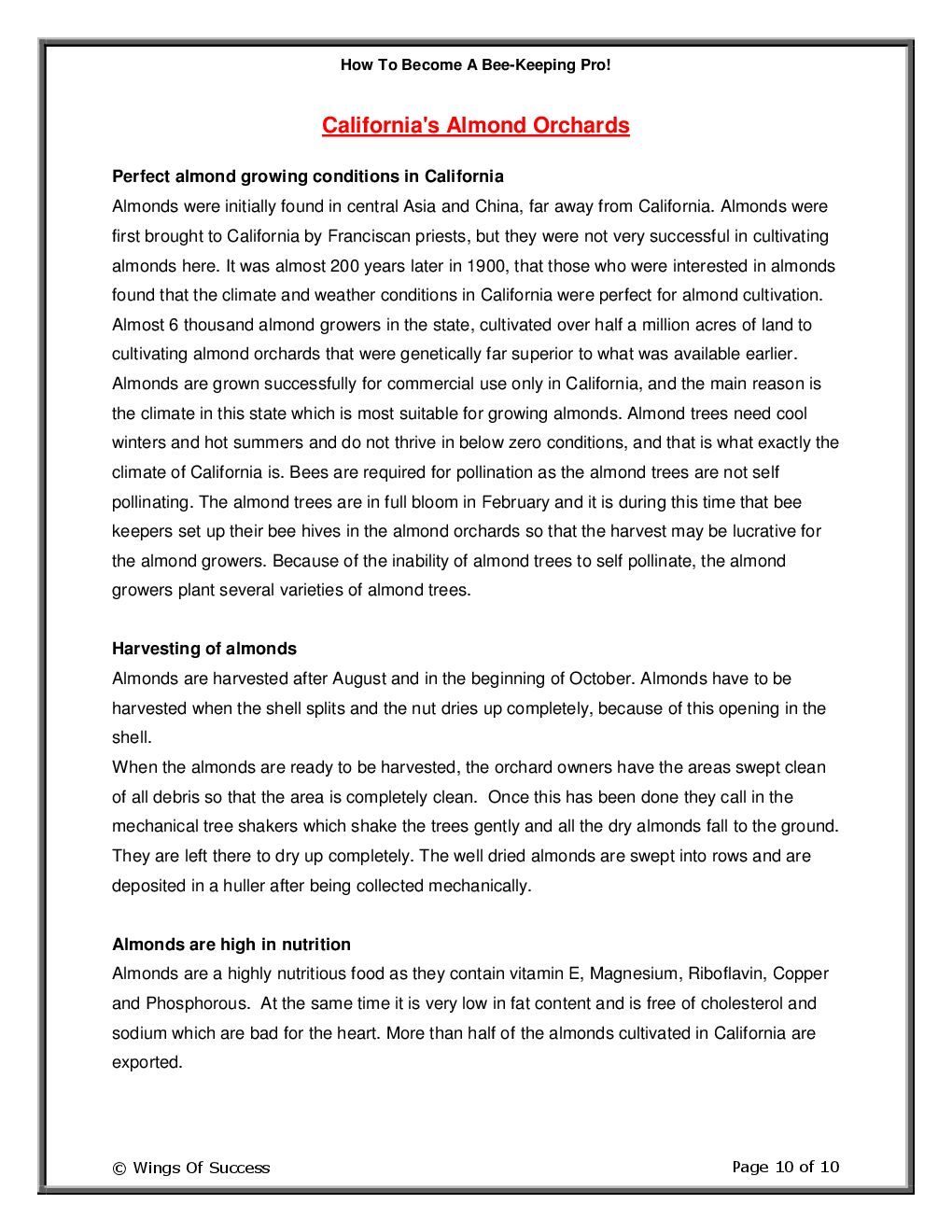 How To Become A Bee-Keeping Pro! - Page 5