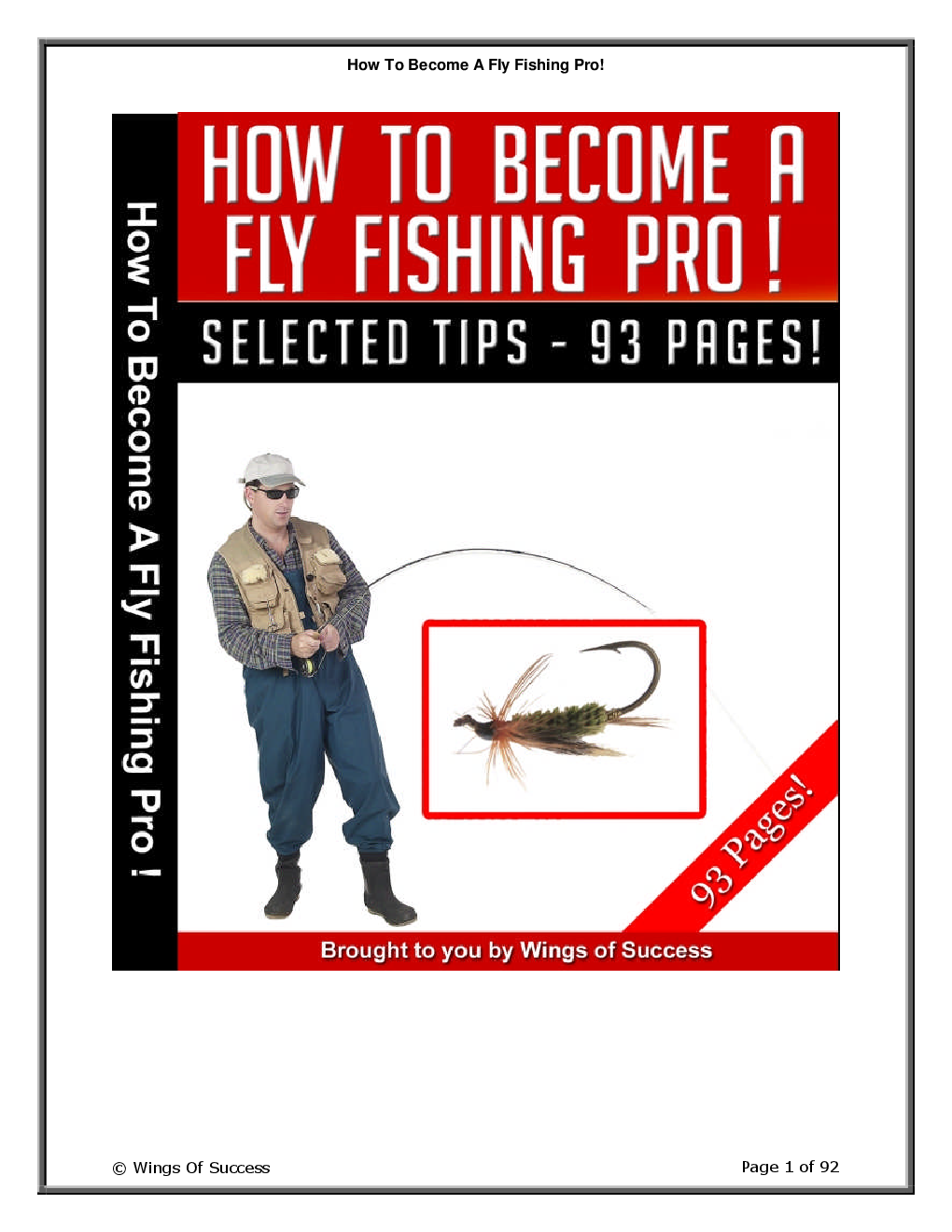 How To Become A Fly Fishing Pro! - Page 1