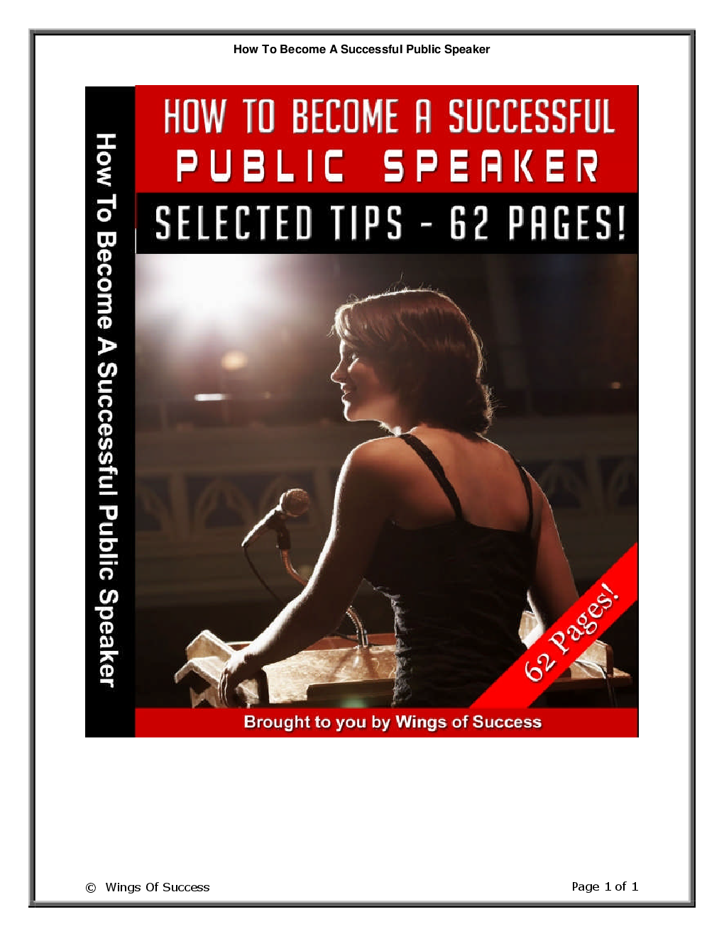 How To Become A Successful Public Speaker - Page 1