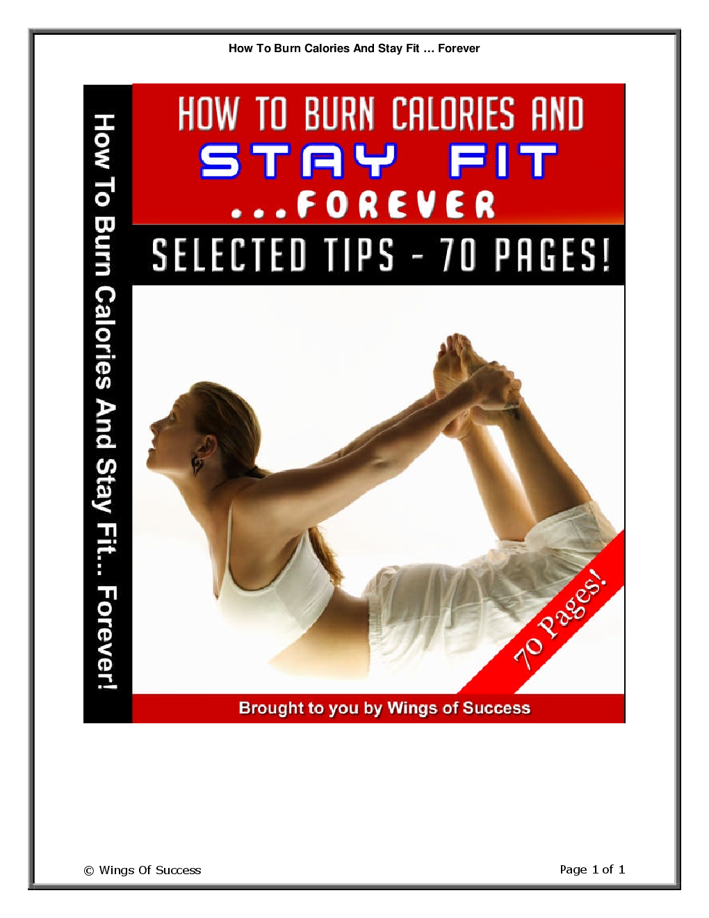 How To Burn Calories And Stay Fit … Forever - Page 1