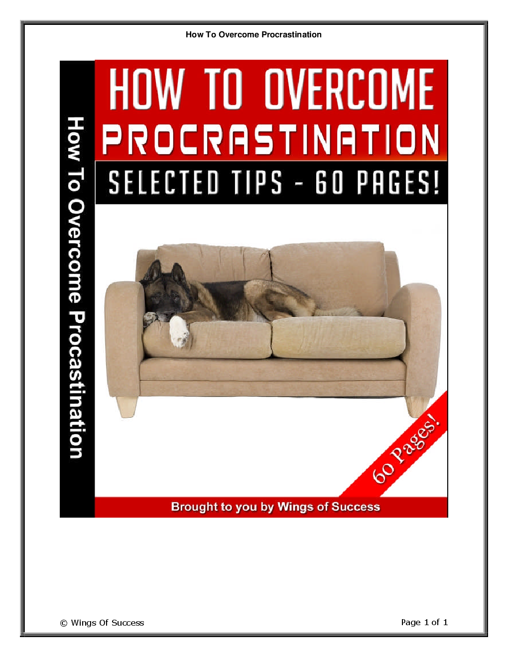 How To Overcome Procrastination - Page 1