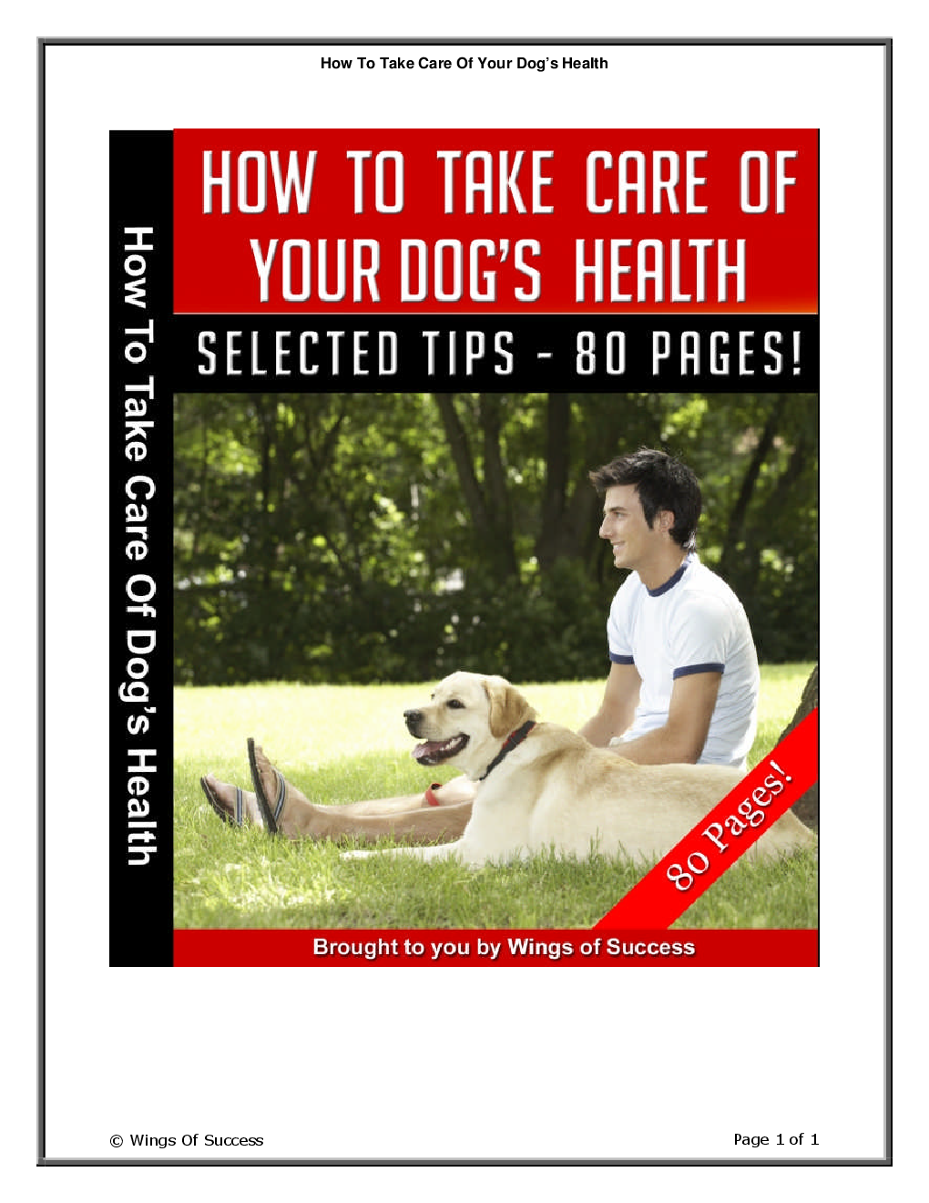 How To Take Care Of Your Dog’s Health - Page 1