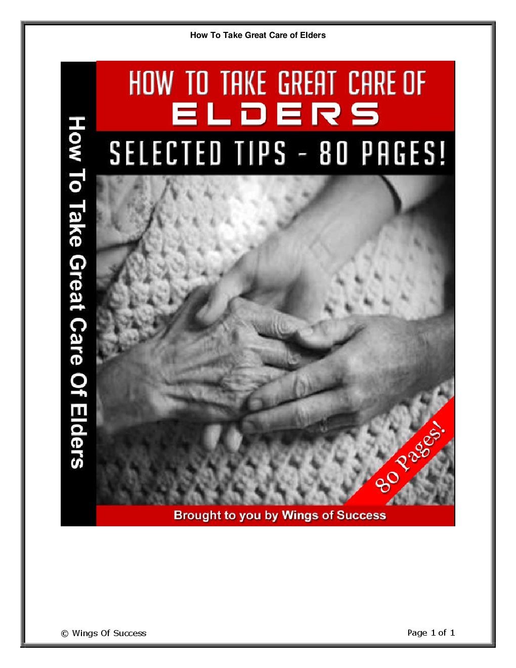How To Take Great Care of Elders - Page 1