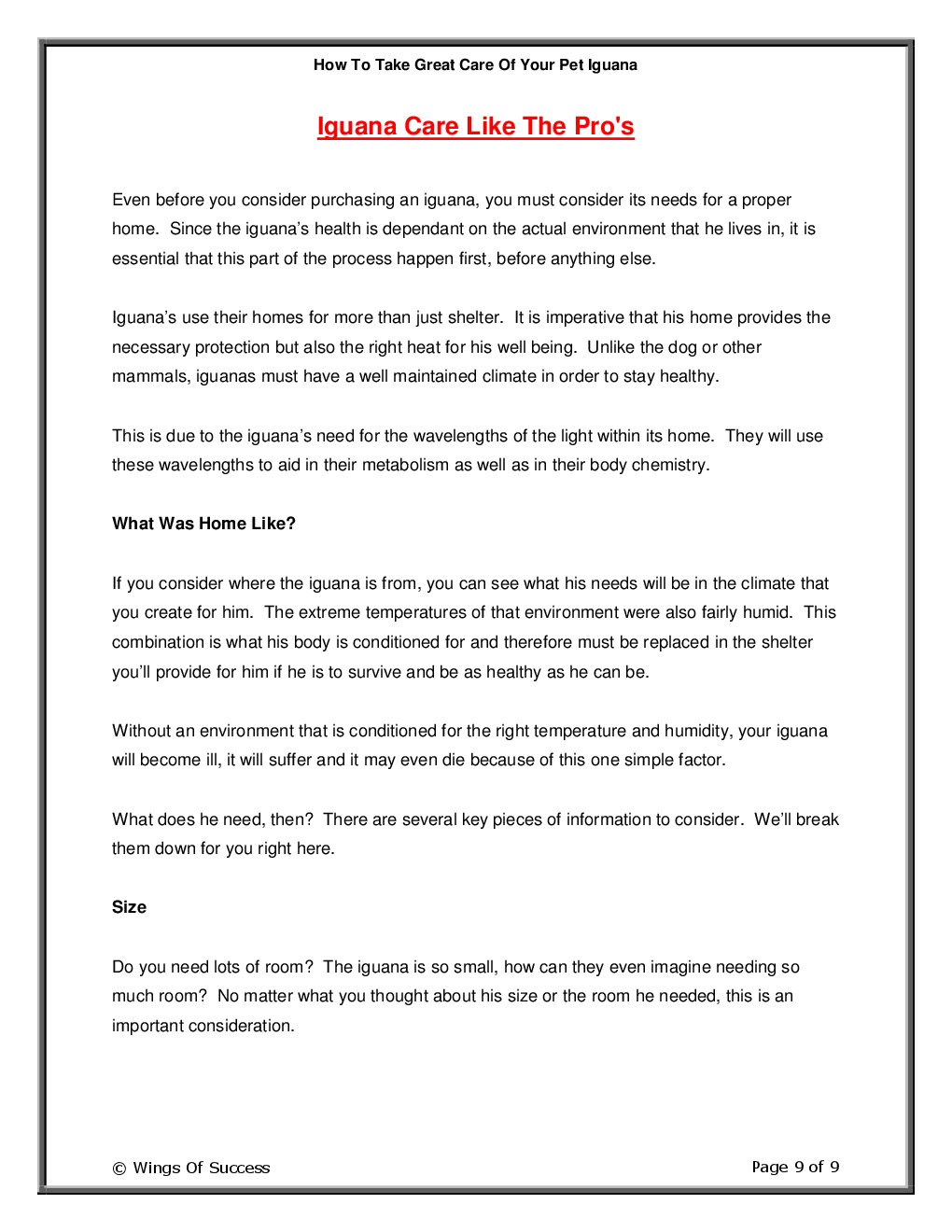 How To Take Great Care Of Your Pet Iguana - Page 4