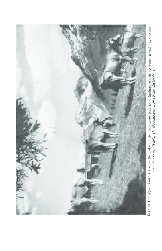 Principles of Milk Production - Page 4