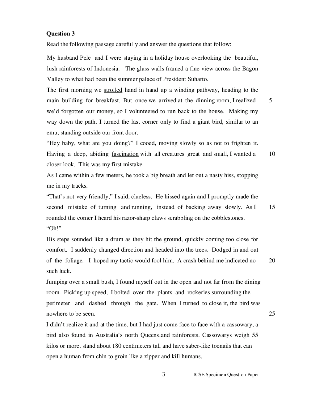 ICSE Sample Question Papers For Class 10 ENGLISH - Page 4