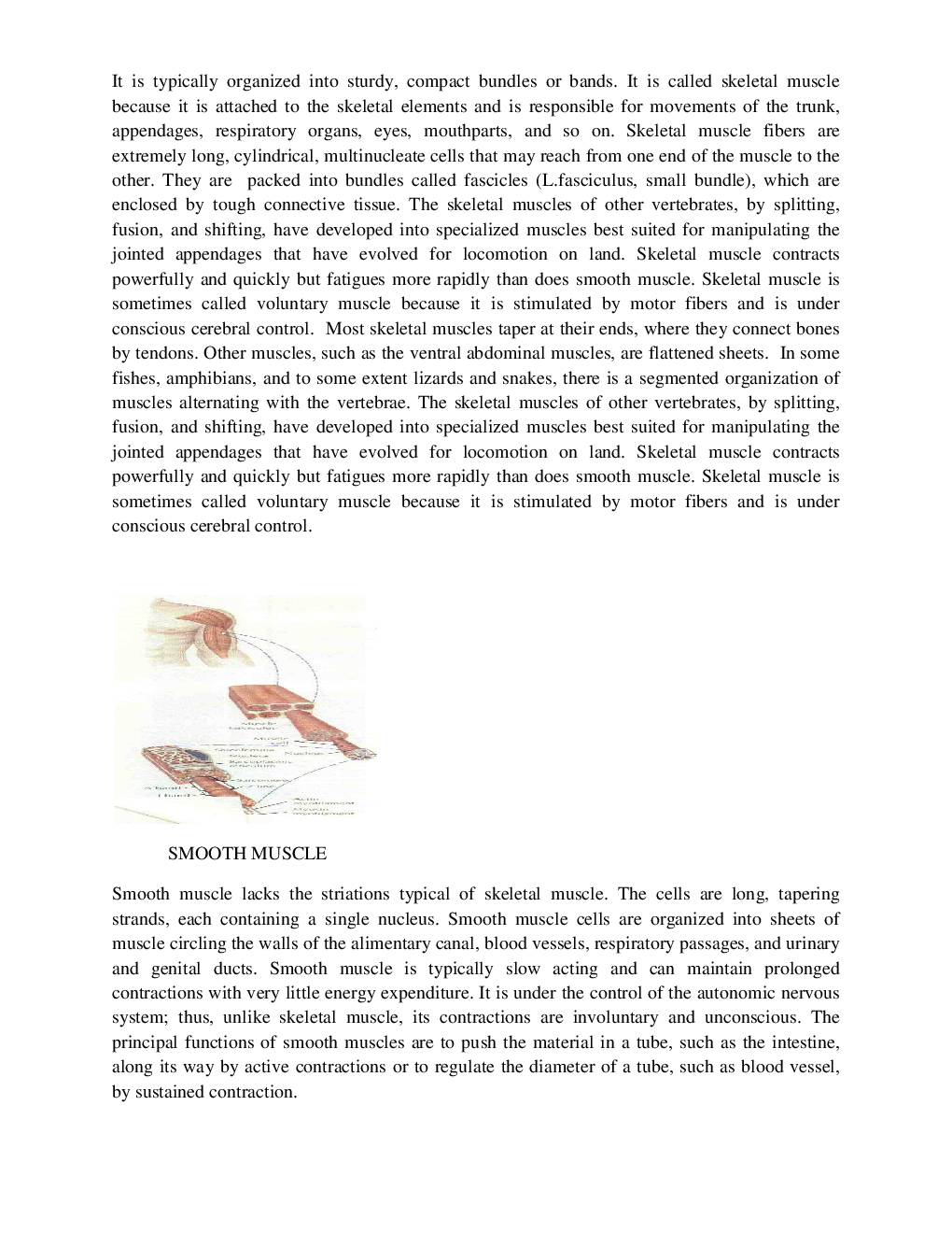 VTU eNotes On Human Physiology (Bio-Technology) - Page 5