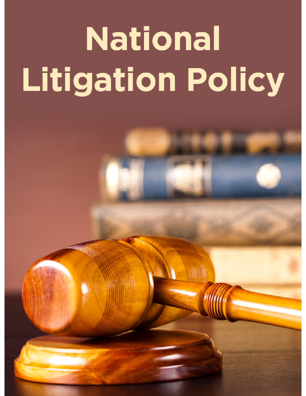 National Litigation Policy - Page 1