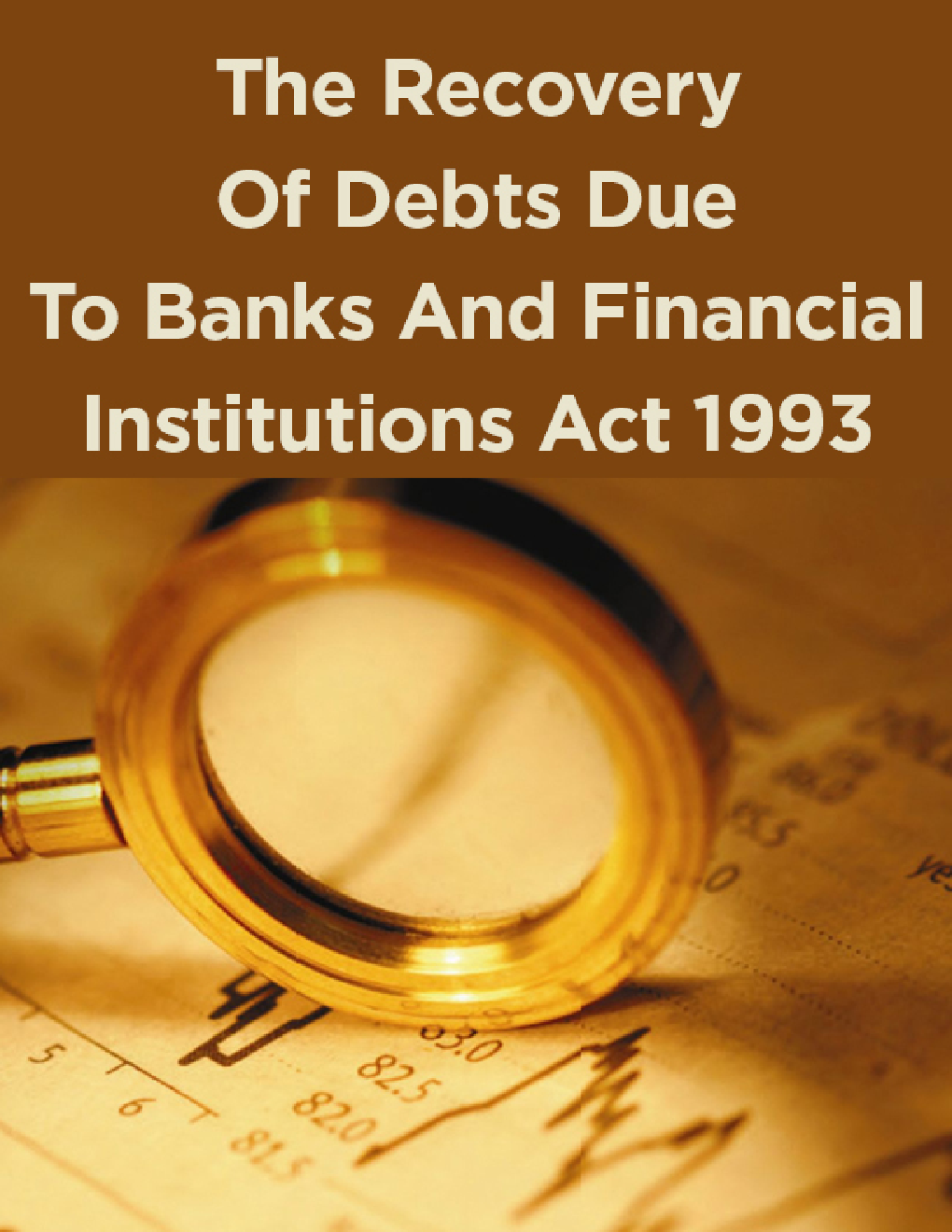The Recovery Of Debts Due To Banks And Financial Institutions Act 1993 - Page 1