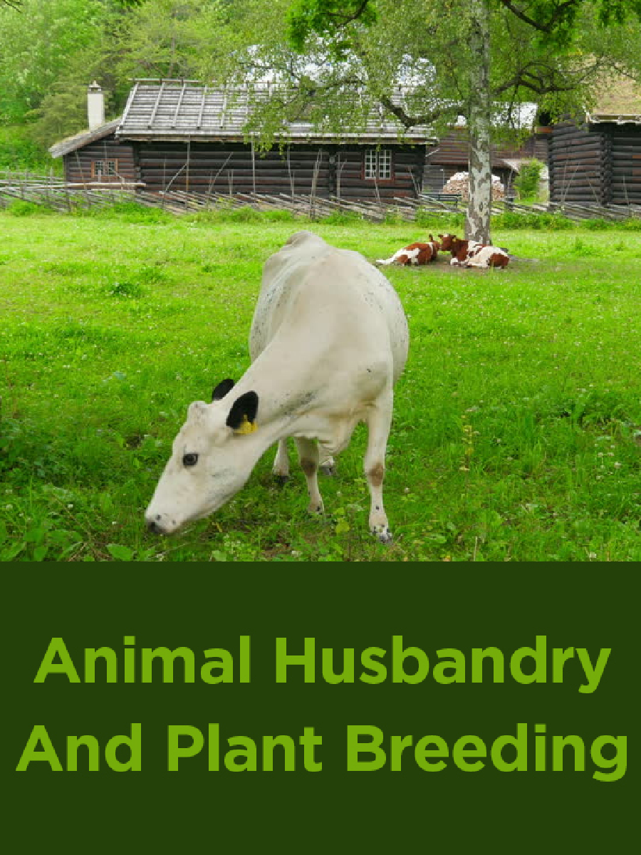 Animal Husbandry And Plant Breeding - Page 1