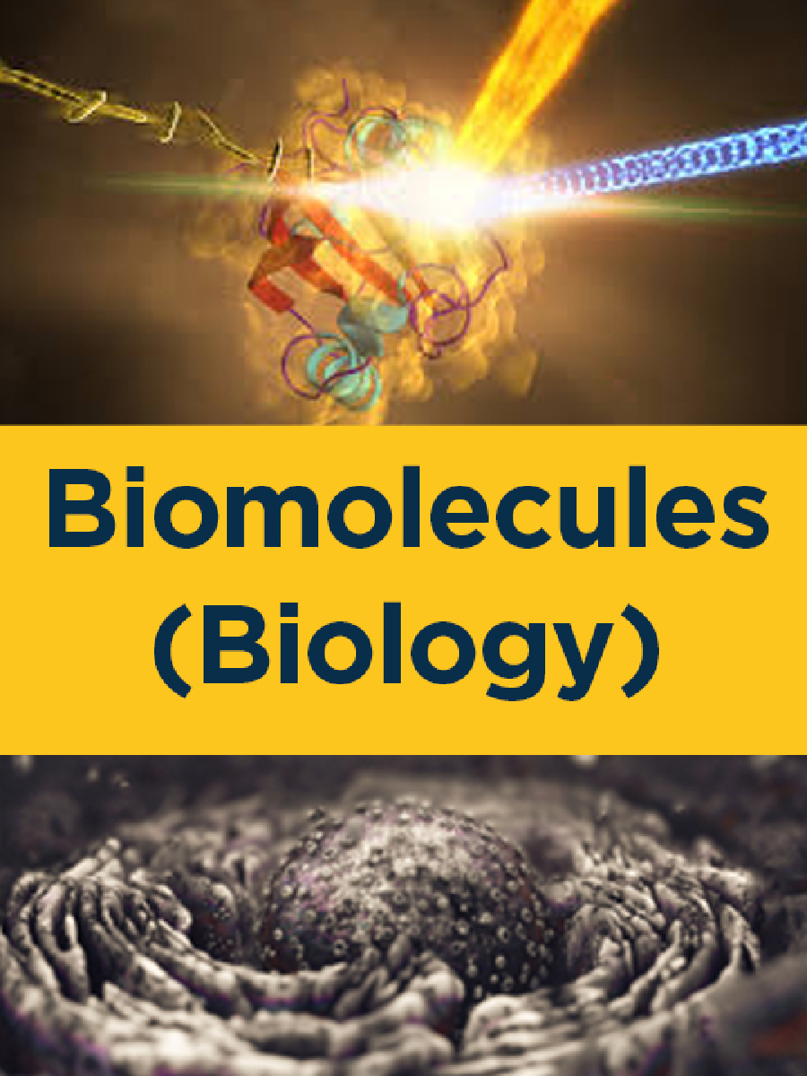 Biomolecules (Biology) - Page 1