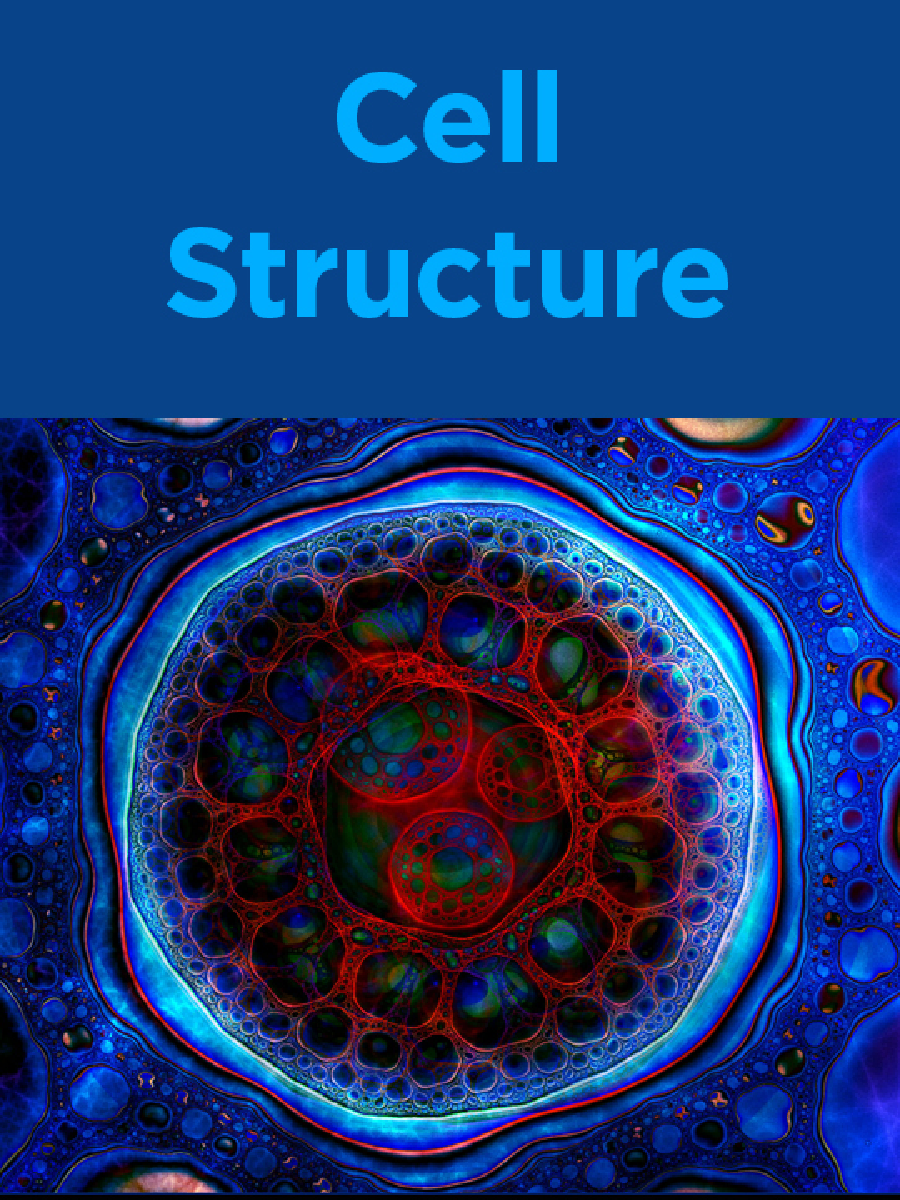 Cell Structure - Page 1