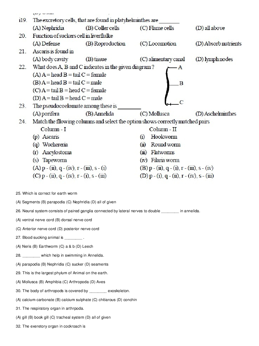 Classification Of Animal Kingdom - Page 4