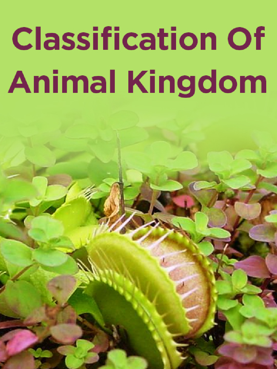 Classification Of Living Organisms - Page 1