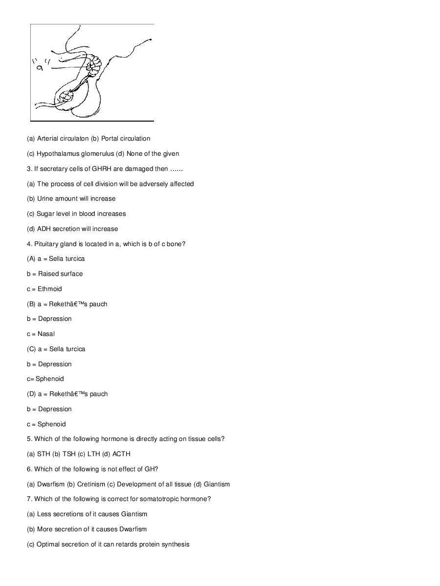 Endocrine System - Page 3