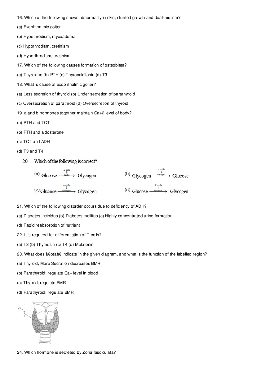 Endocrine System - Page 5