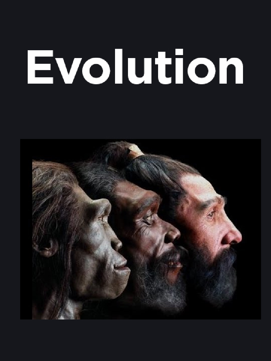Evolution - Page 1