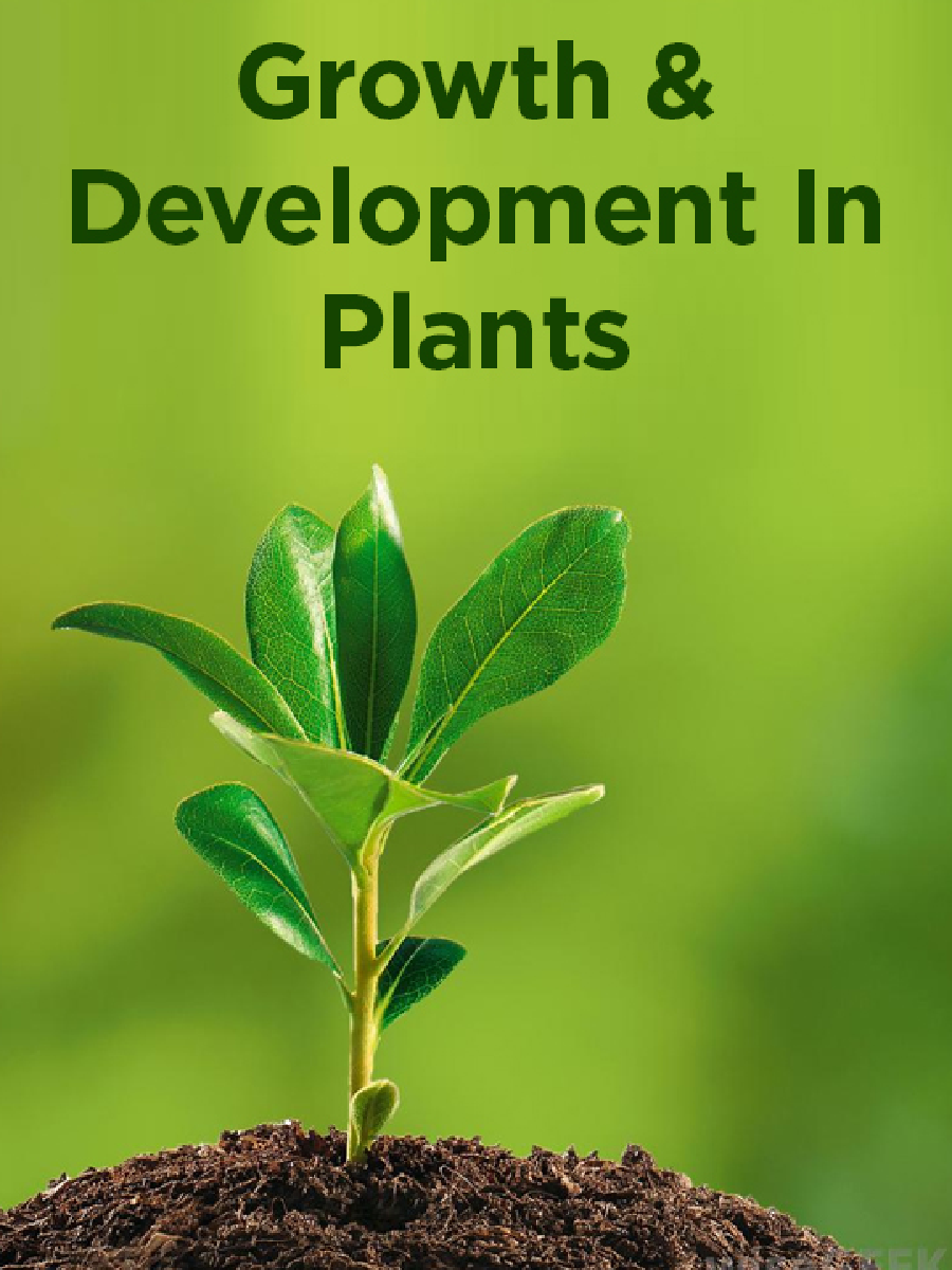 Growth And Development In Plants - Page 1