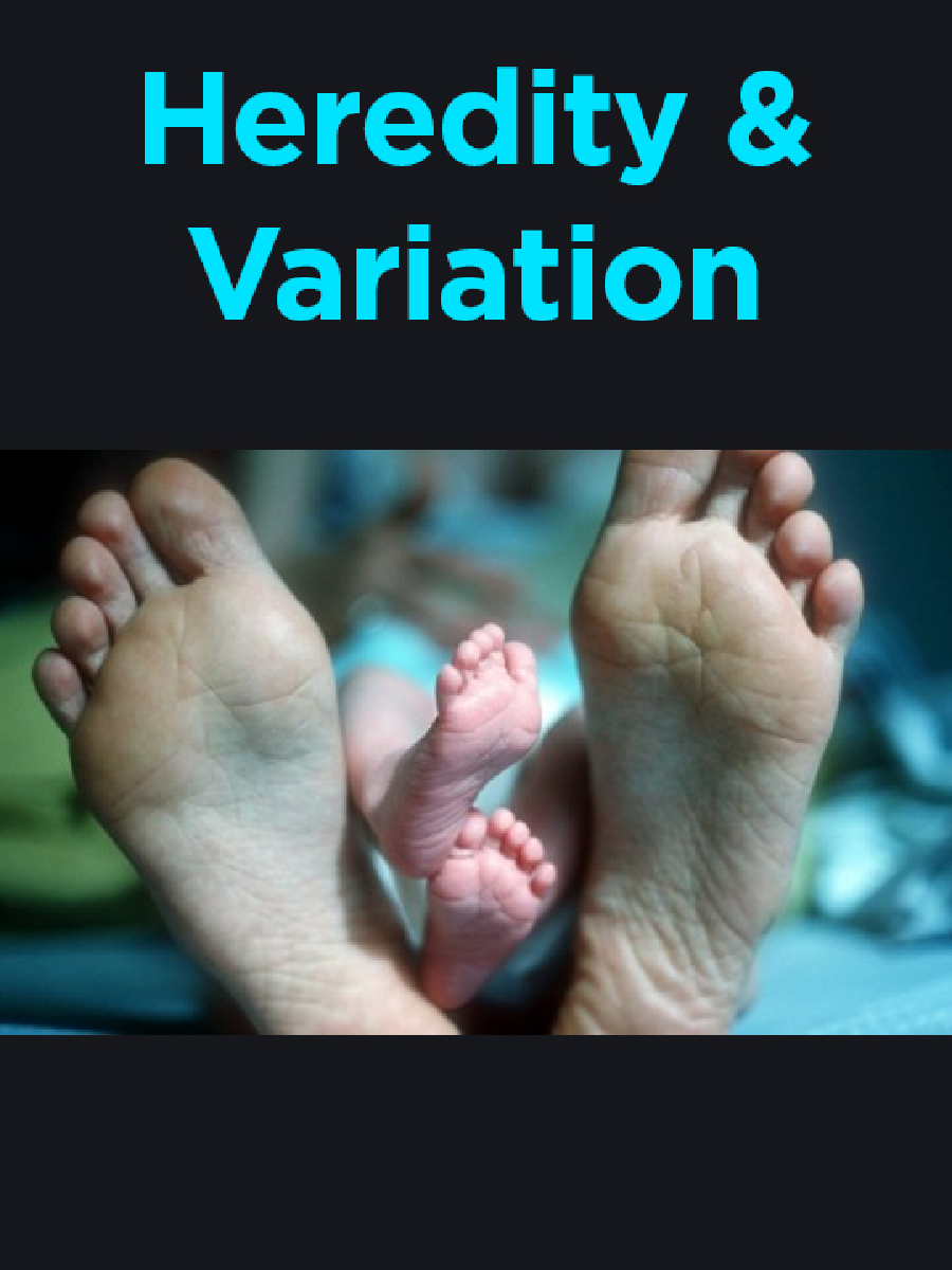 Heredity And Variation - Page 1