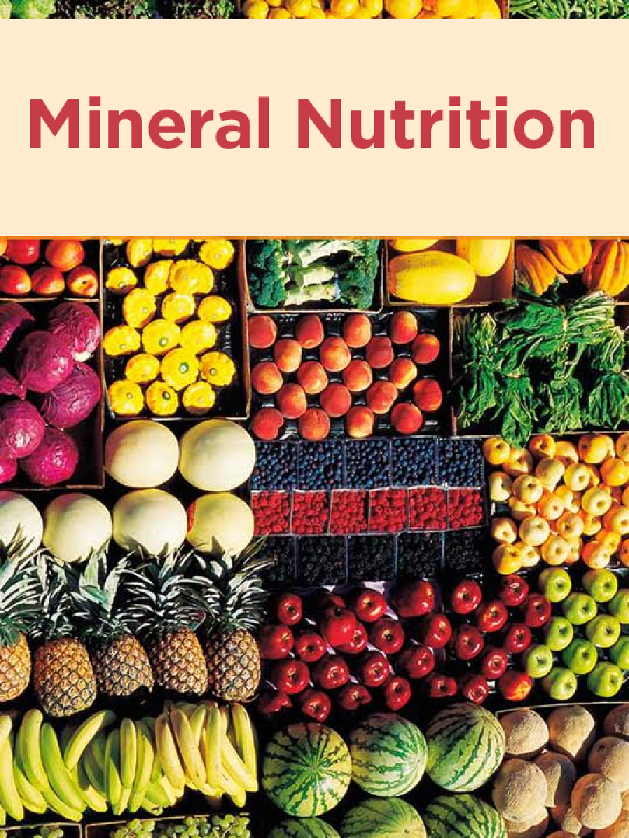 Mineral Nutrition - Page 1