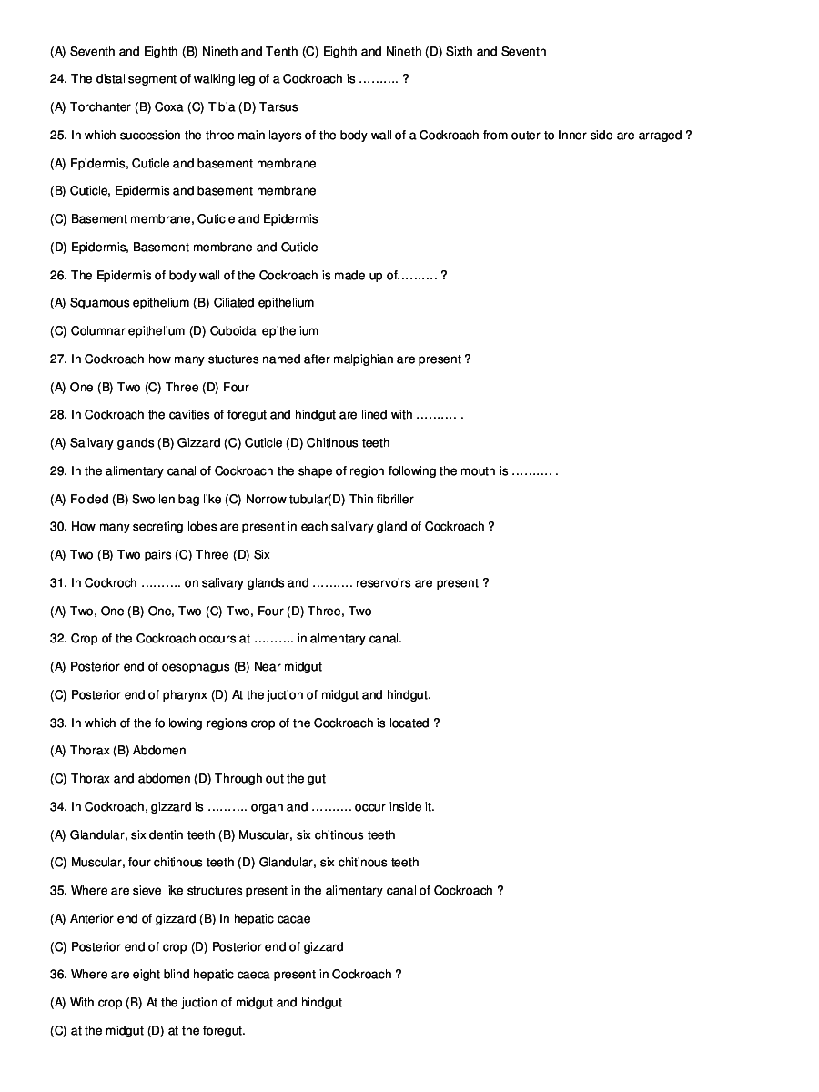 Morphology Of Animals - Page 4