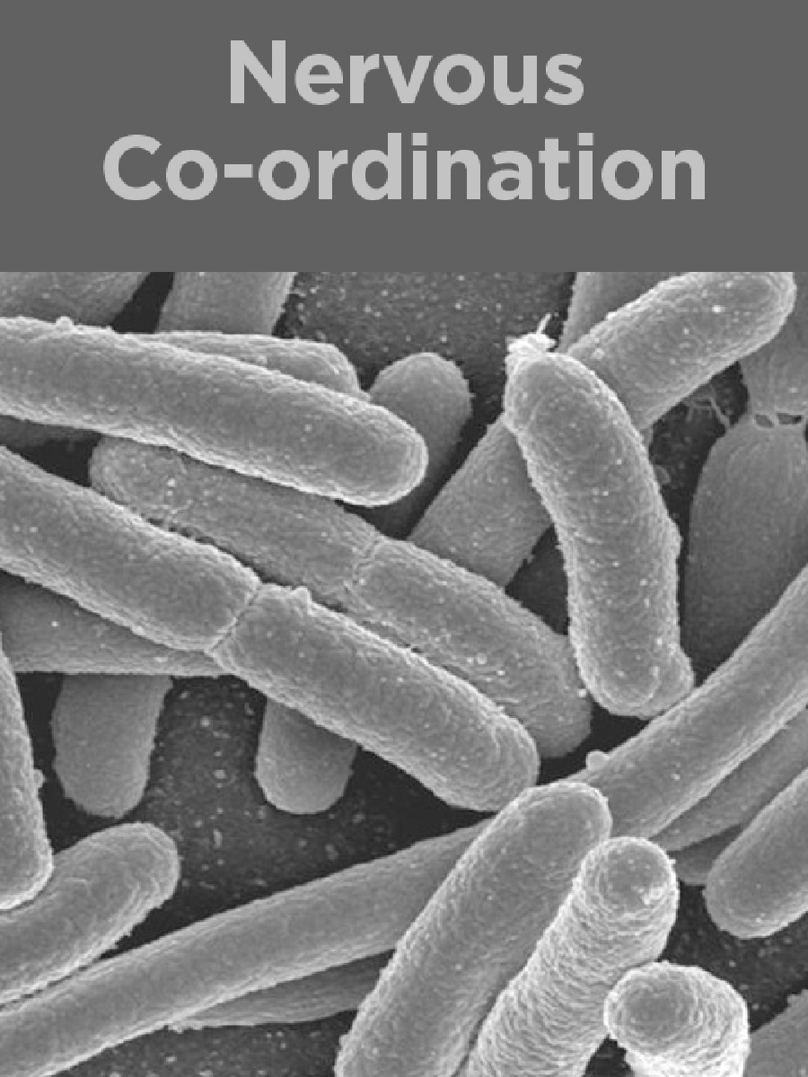 Organism And Population - Page 1