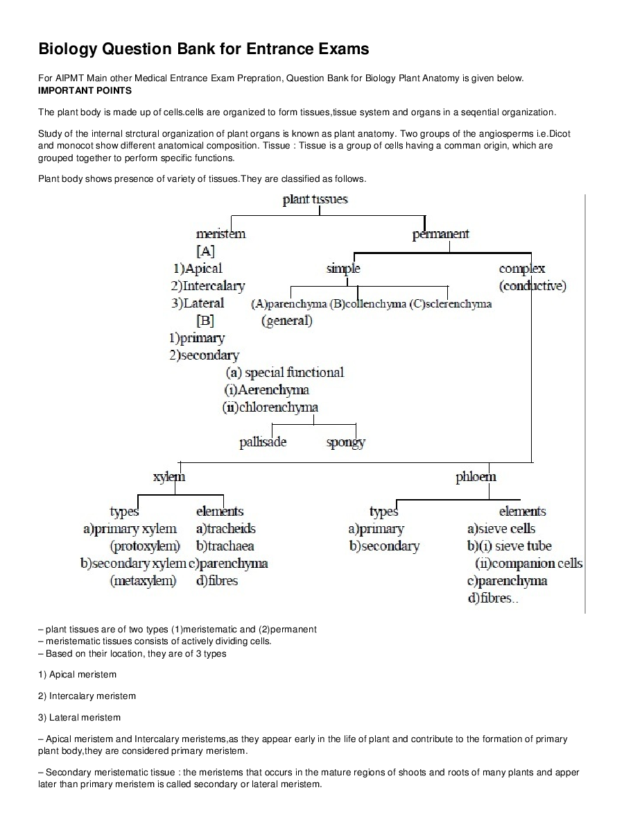 Plant Anatomy - Page 2