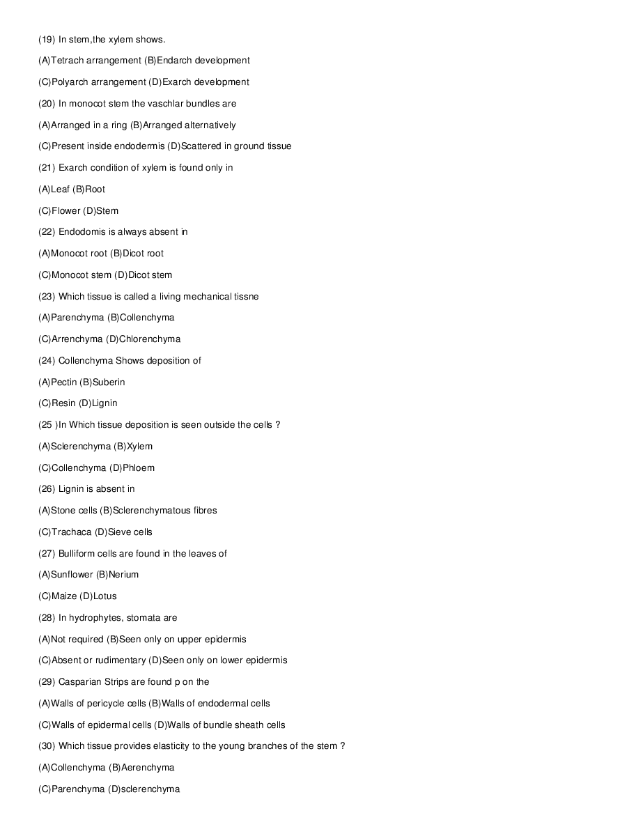 Plant Anatomy - Page 5