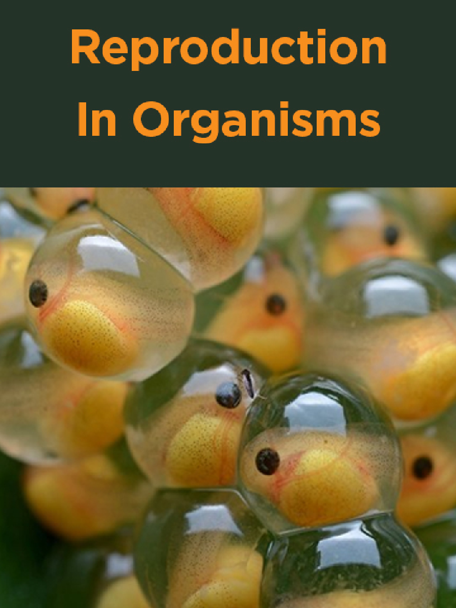 Reproduction In Organisms - Page 1