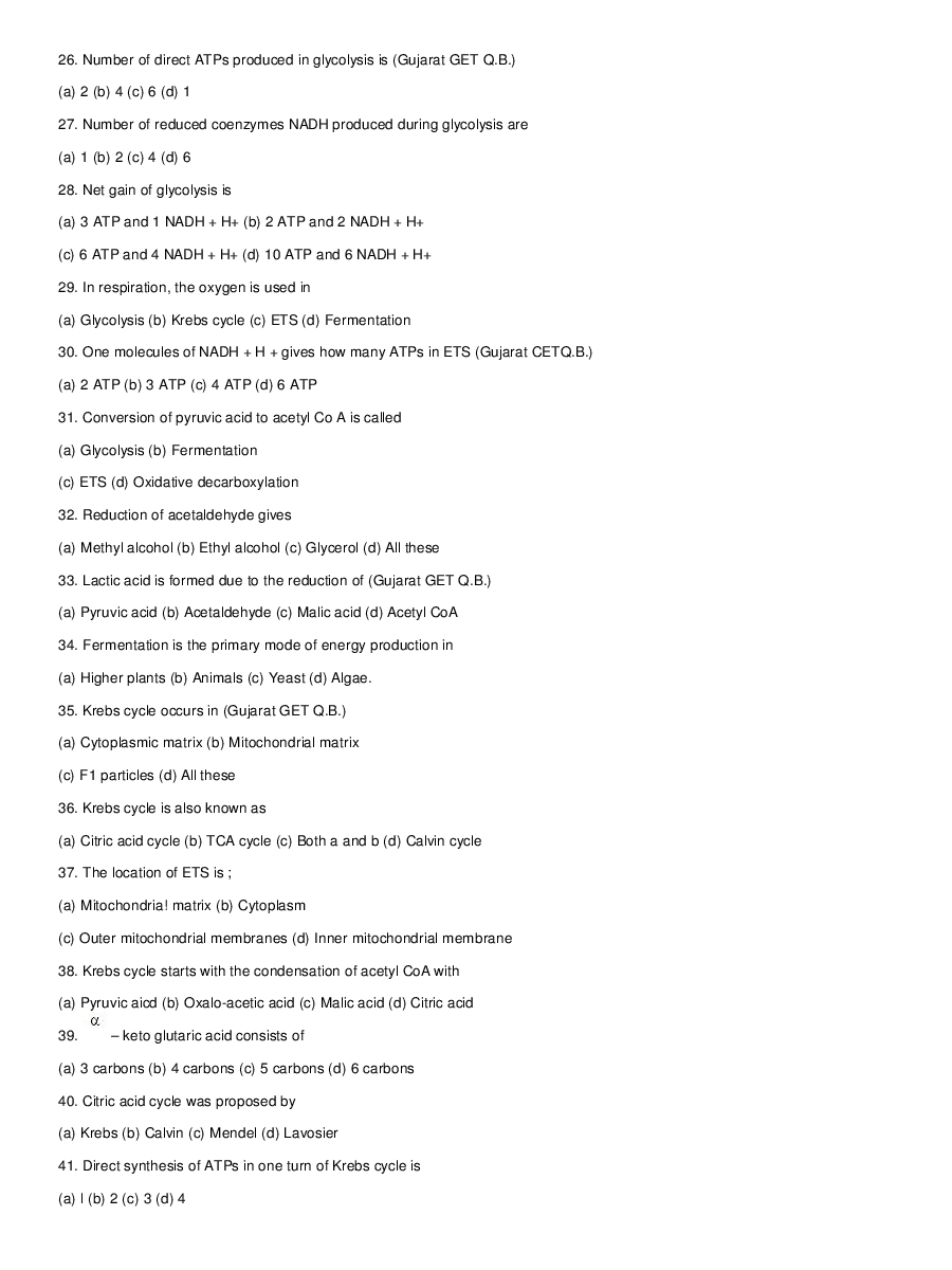 Respiration - Page 4
