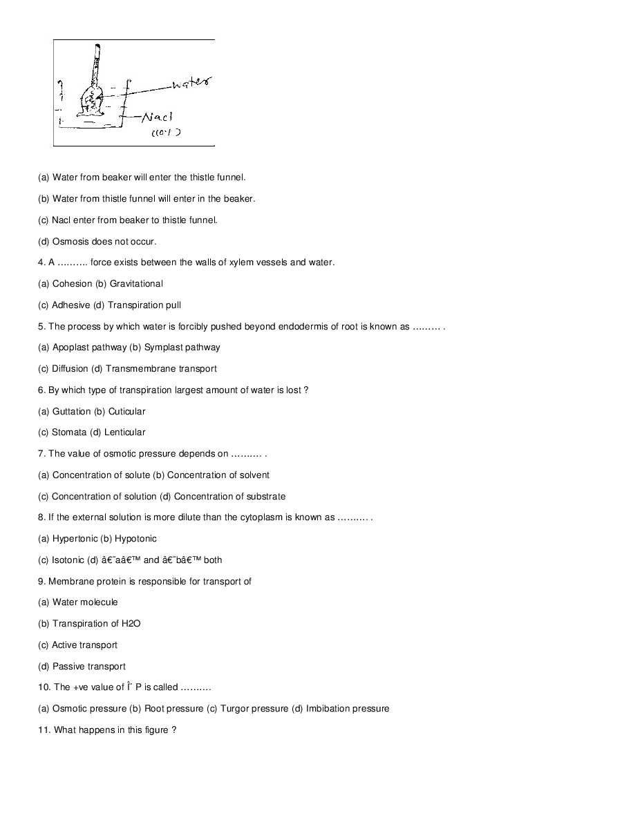 Transport In Plants - Page 3