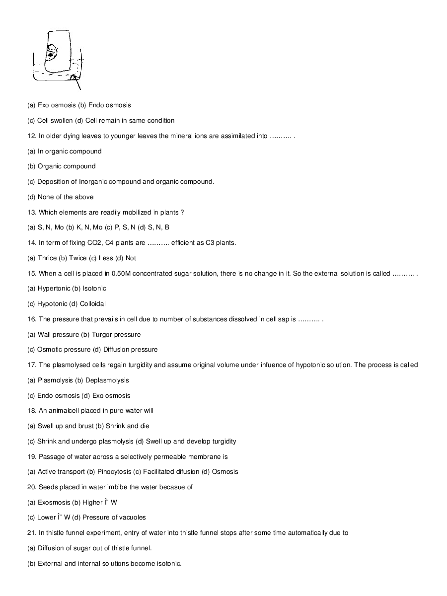 Transport In Plants - Page 4