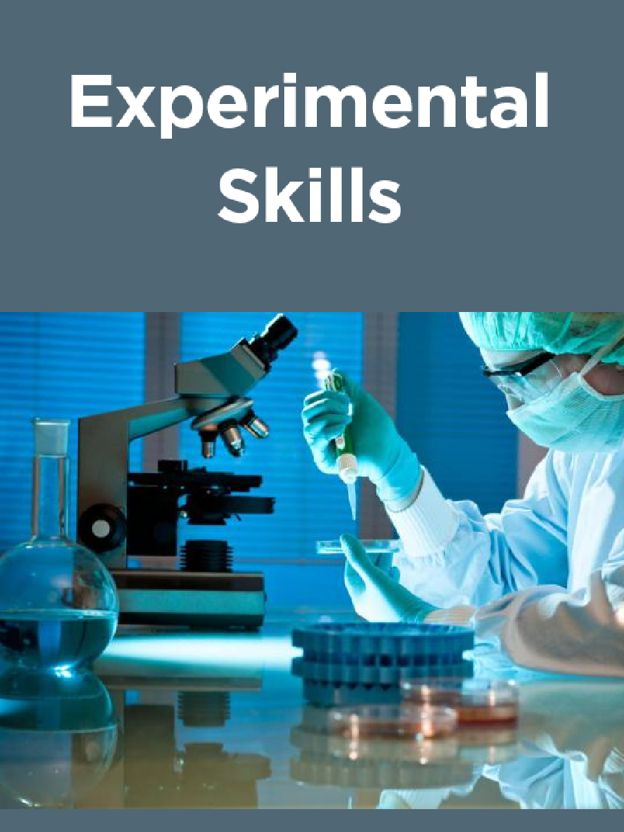 Experimental Skills - Page 1