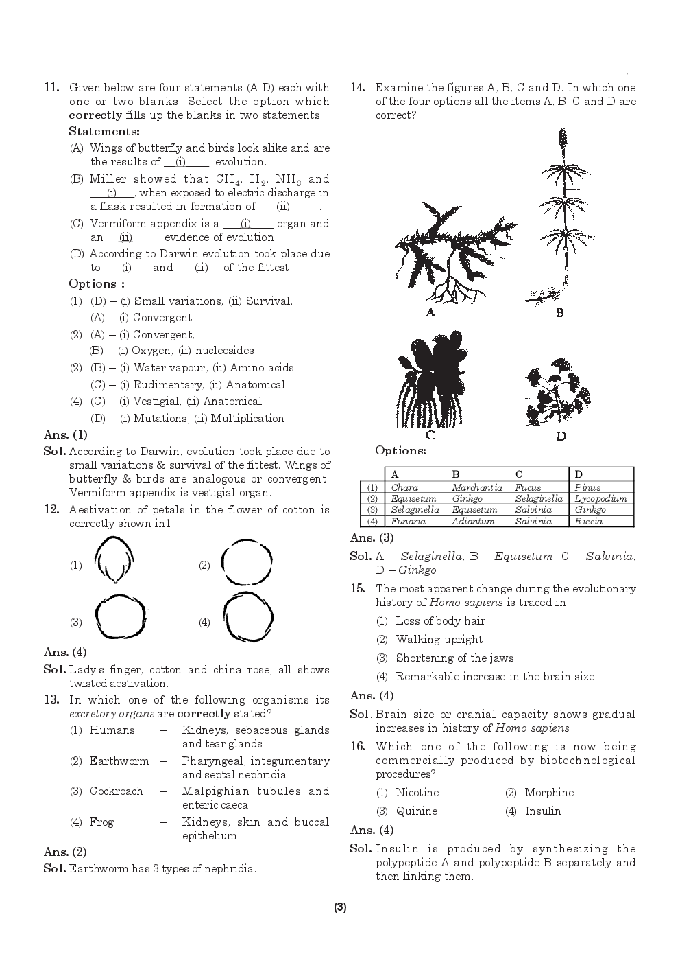 AIPMT NEET Solved  Sample Question Paper 10 - Page 4