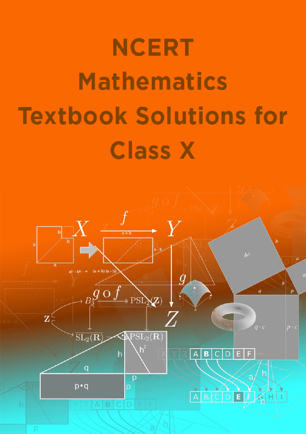 NCERT Mathematics Textbook Solutions for Class X - Page 1