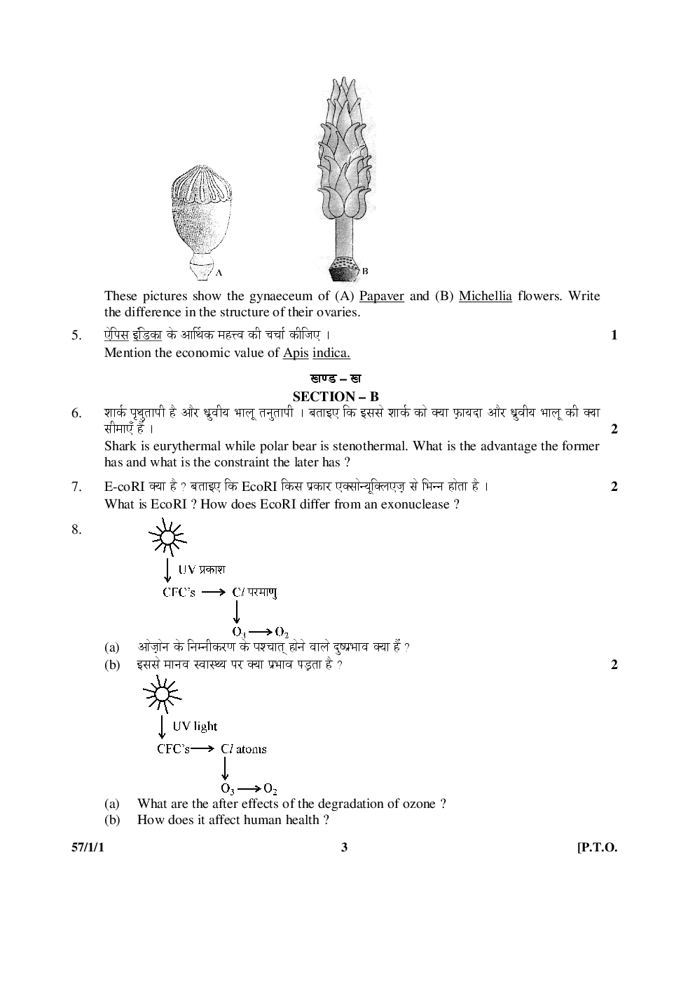 Cbse Class 12 Biology Previous Year Question Paper 2005-2015 - Page 4