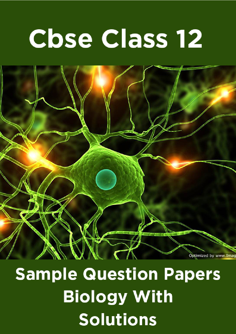 CBSE Sample Question Papers Biology With Solutions Class 12 - Page 1