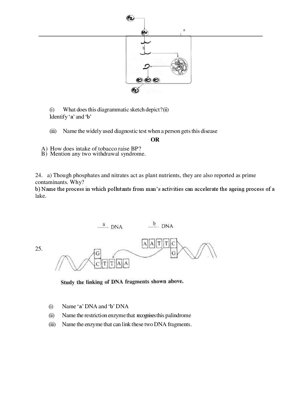 CBSE Sample Question Papers Biology With Solutions Class 12 - Page 4