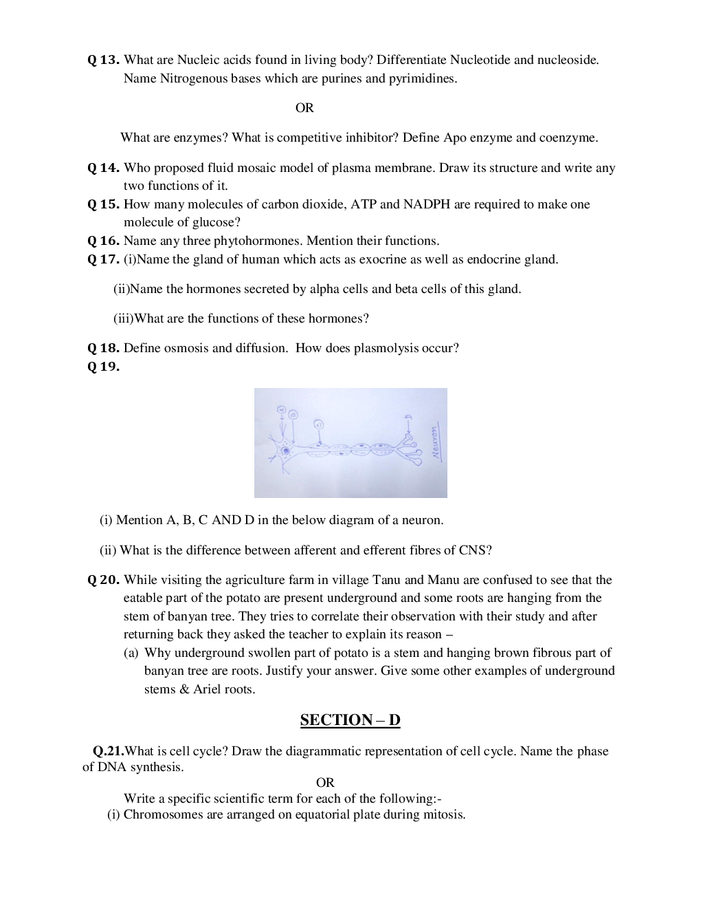 Cbse Class 11 Biology SA II Sample Question Paper - Page 4