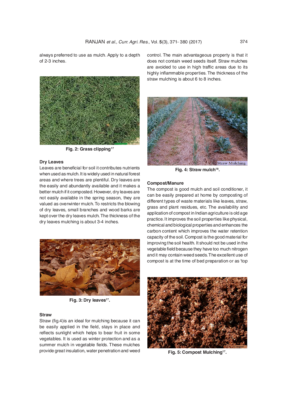 Organic Mulching - A Water Saving Technique To Increase The Production Of Fruits And Vegetables - Page 5