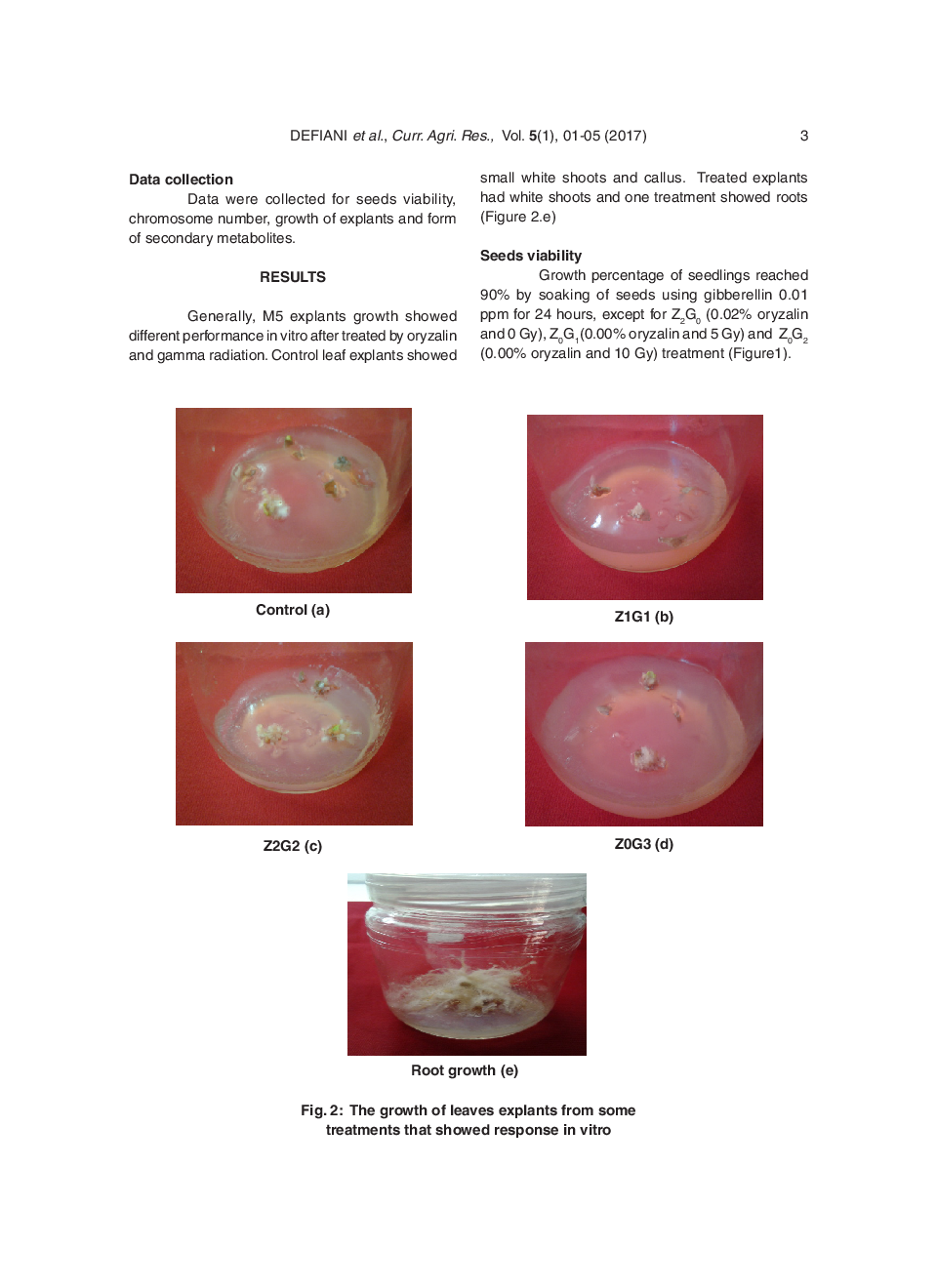 Oryzalin And Gamma Radiation Induced Polyploidization In Garden Balsam Plants (Impatiens Balsamina L.) In Vitro - Page 4