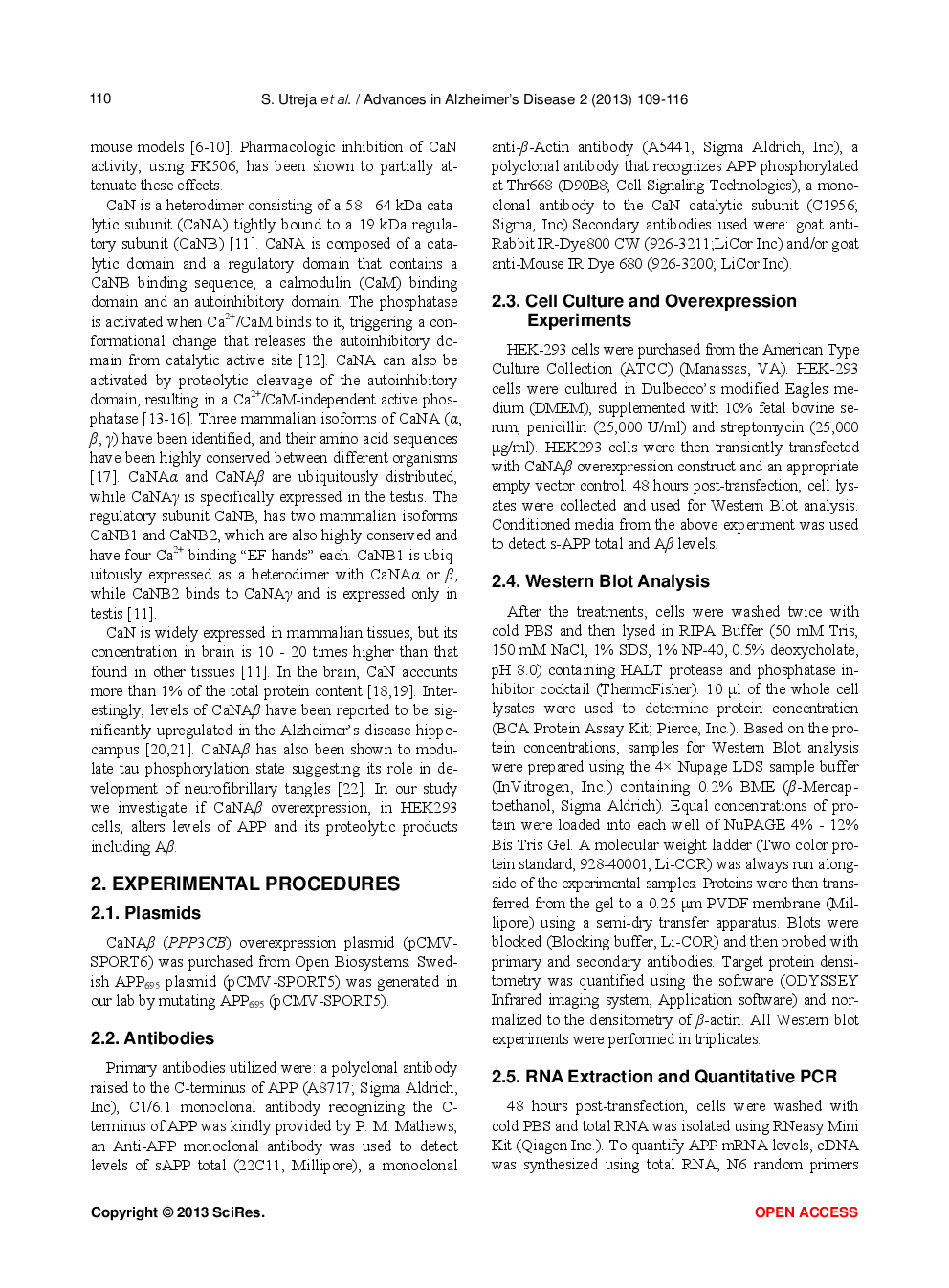 Calcineurin Overexpression Regulates APP Metabolism - Page 3