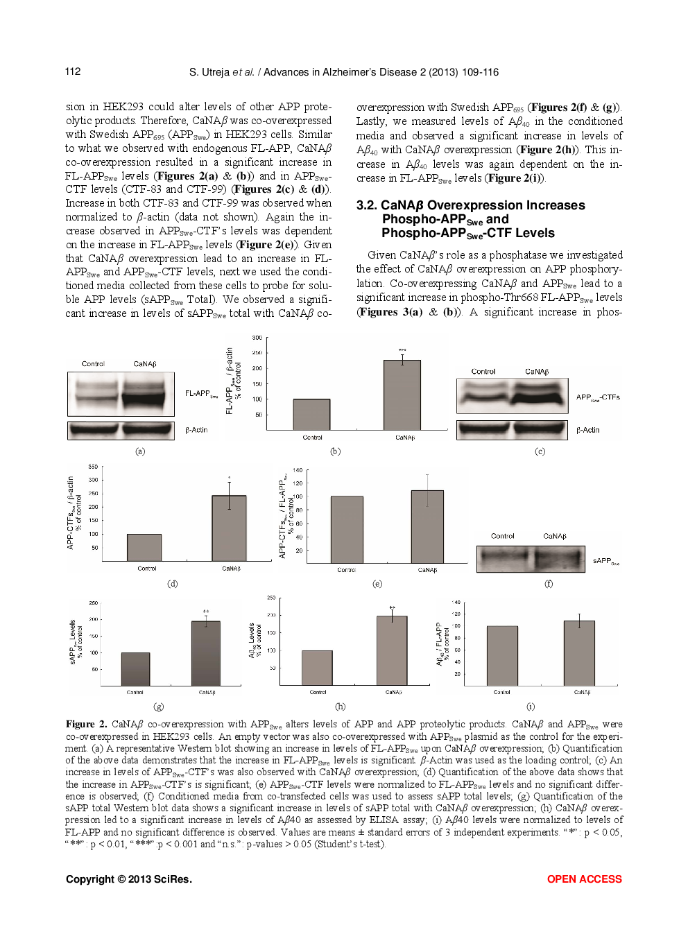 Calcineurin Overexpression Regulates APP Metabolism - Page 5