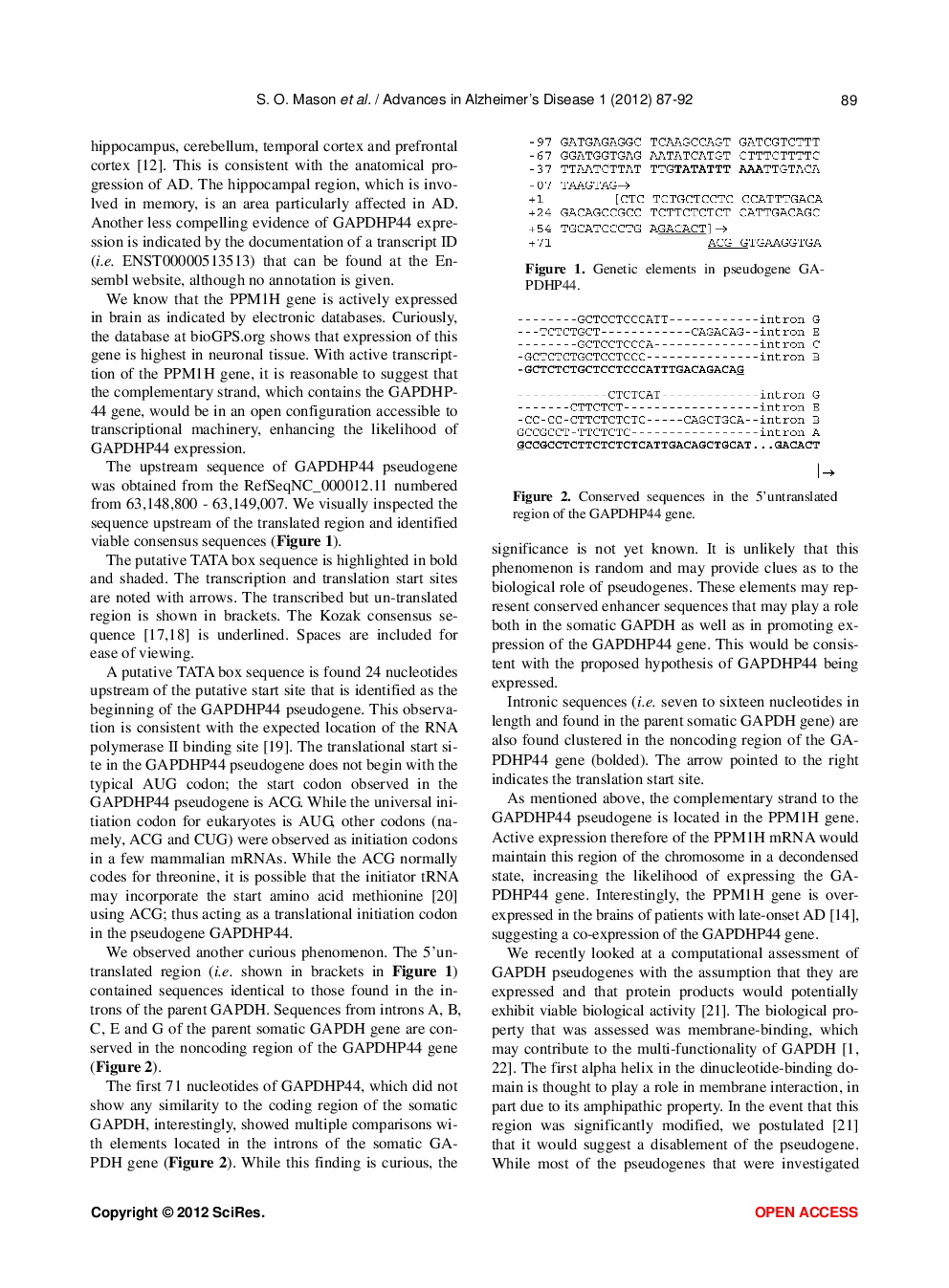 Neuronal Protection By A Variant Of GAPDH Pseudogene P44 In AD - Page 4
