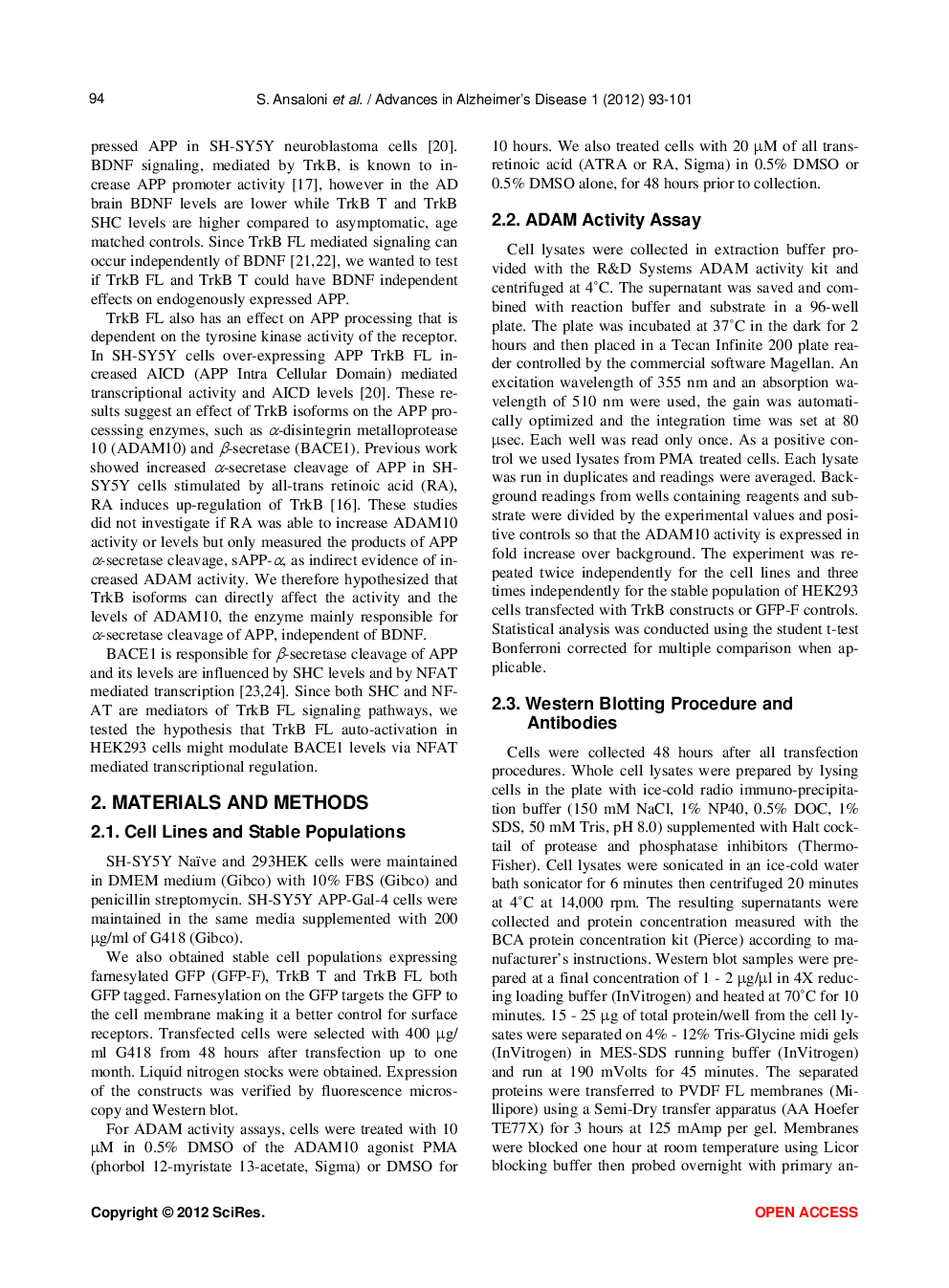 Tyrosine Kinase Receptor B Isoforms Alter APP And BACE1 Endogenous Levels Independently Of BDNF - Page 3