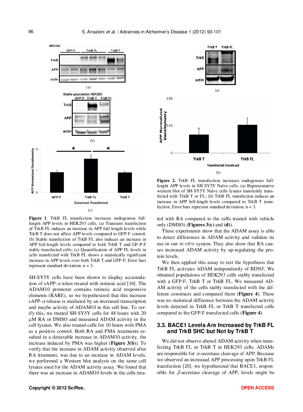 Tyrosine Kinase Receptor B Isoforms Alter APP And BACE1 Endogenous Levels Independently Of BDNF - Page 5